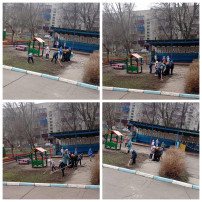 Проект "Зелёный дворик" Проект "Зелёный дворик".